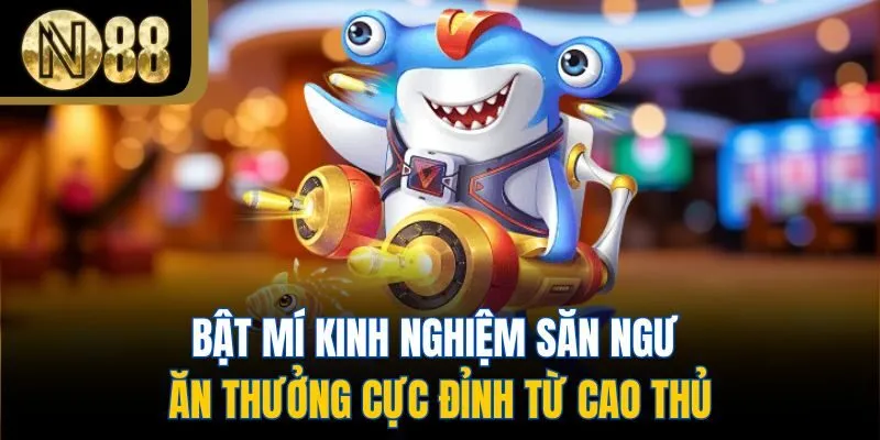 Bật mí kinh nghiệm săn ngư ăn thưởng cực đỉnh từ cao thủ