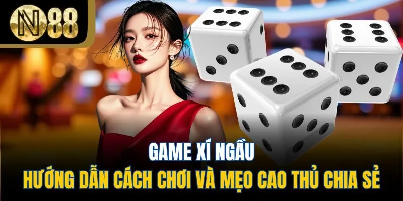 Game Xí Ngầu - Hướng Dẫn Cách Chơi Và Mẹo Cao Thủ Chia Sẻ