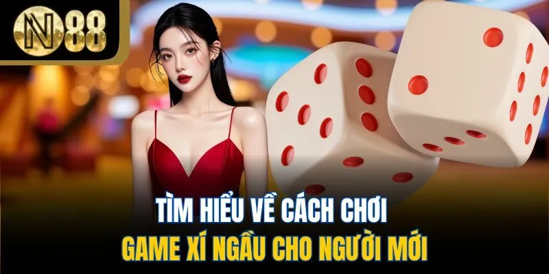 Tìm hiểu về cách chơi game xí ngầu cho người mới